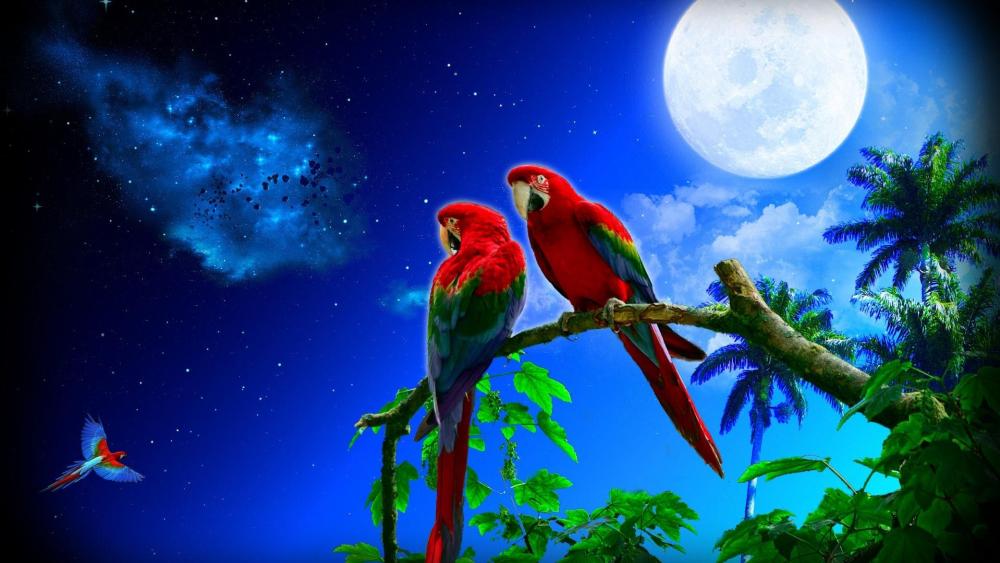 Macaws in the fool moon wallpaper