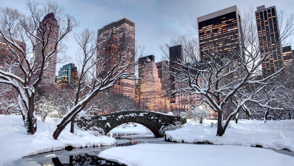 Snowy New York wallpaper