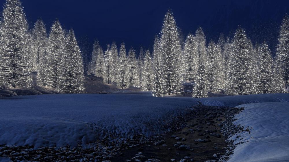 Christmas lights ✨ wallpaper