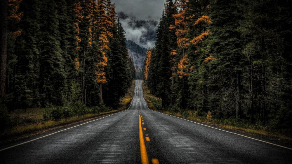 Rainy road wallpaper