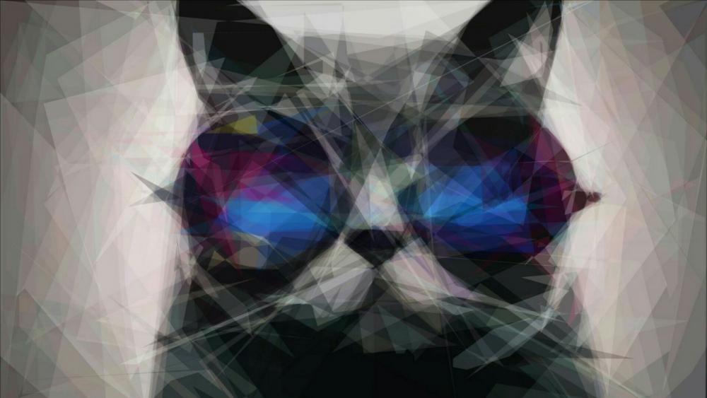 Cat with sunglasses wallpaper