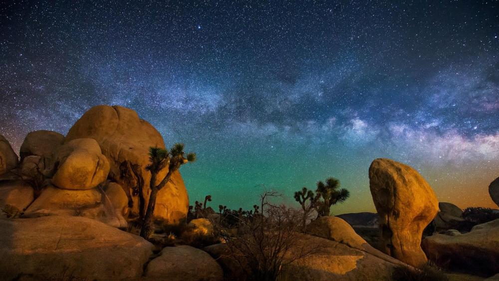 Milky Way above Joshua Tree National Park - backiee