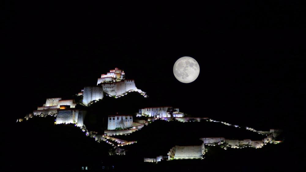 Potala moonlight wallpaper