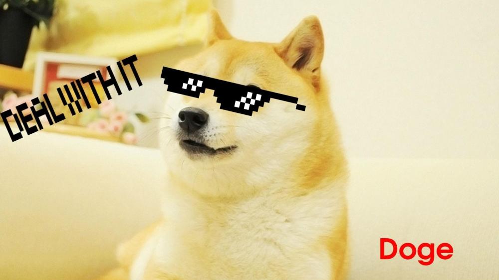 Doge -Deal with it wallpaper