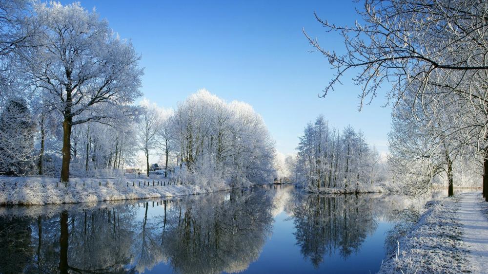 Winter reflection in canal wallpaper