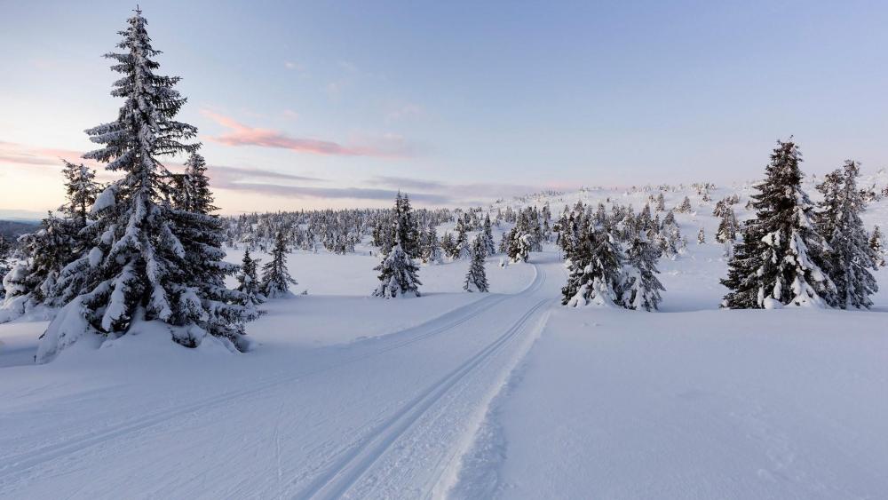 Lillehammer Winter Lillehammer Winter