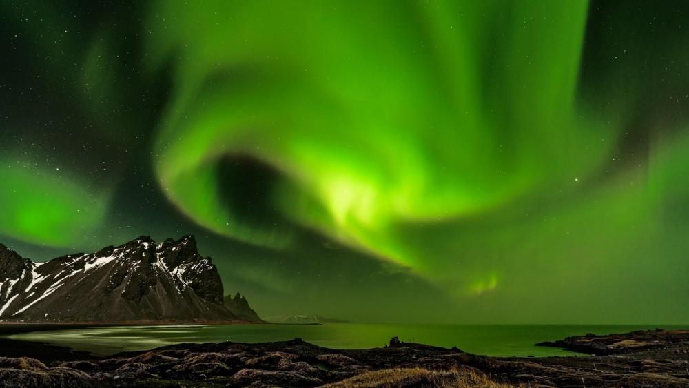 Aurora Borealis over Reinefjord wallpaper