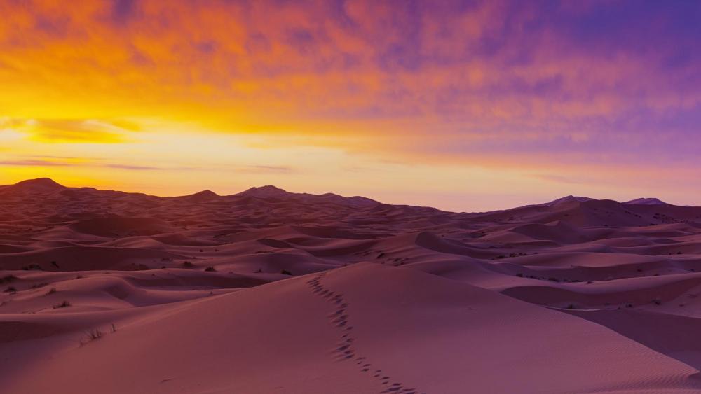 Traces on the desert sand dunes at sunrise wallpaper