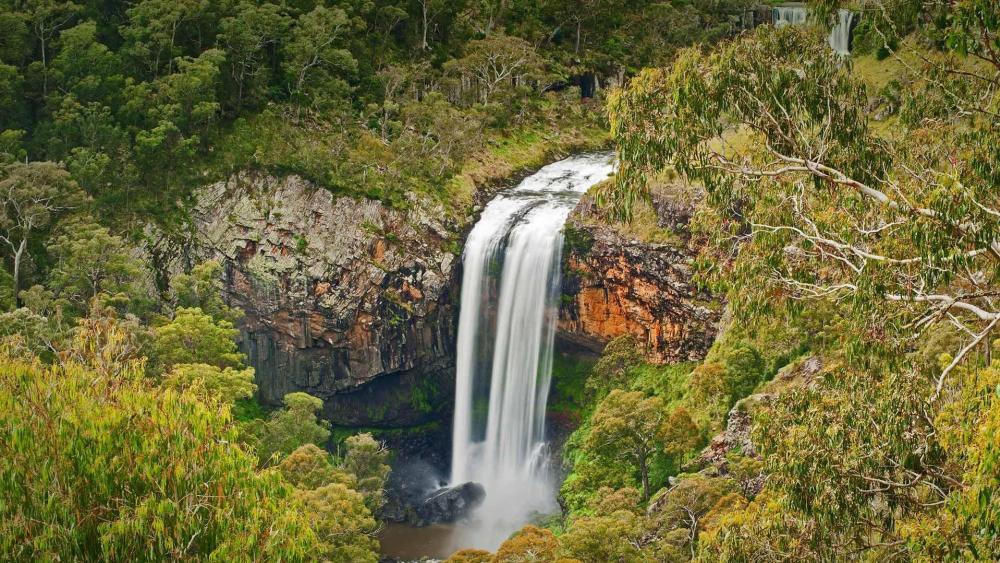Ebor Falls is in Guy Fawkes River National Park wallpaper