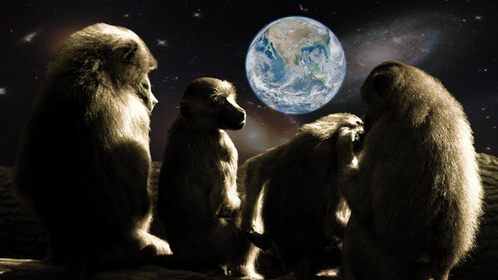 Planet of the Apes wallpaper