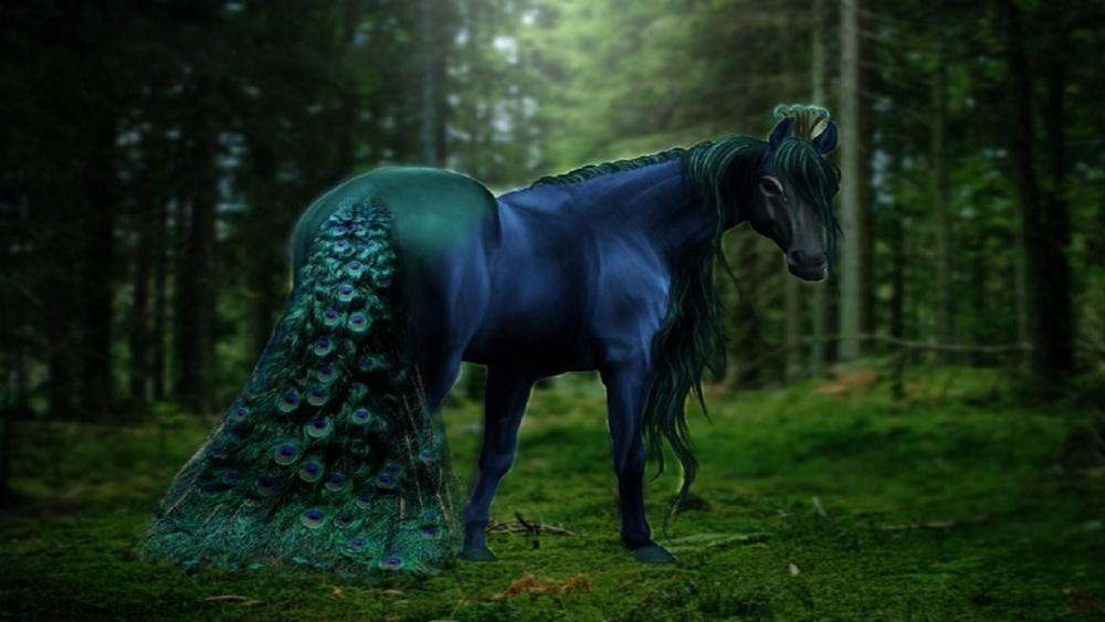 Peacock horse in the forest wallpaper