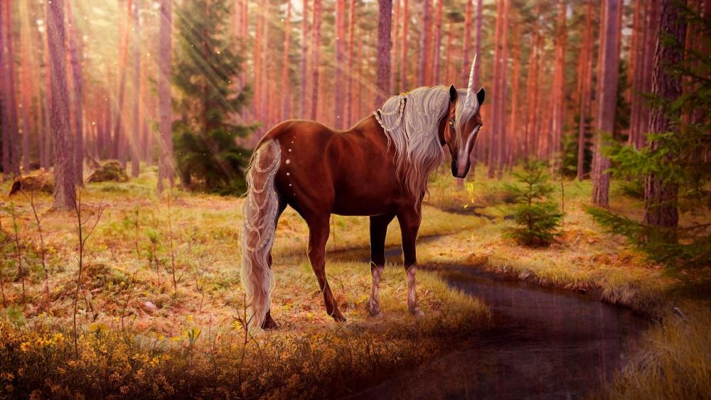 Unicorn in the forest creek wallpaper