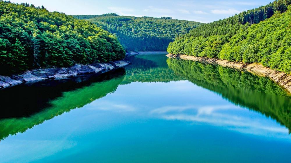 Wallpaper from nature category