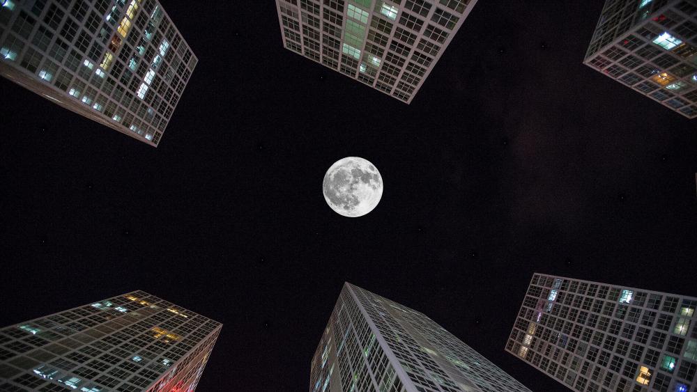 The moon in the middle of the buildings wallpaper