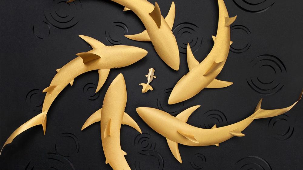 Fish gold shark wallpaper