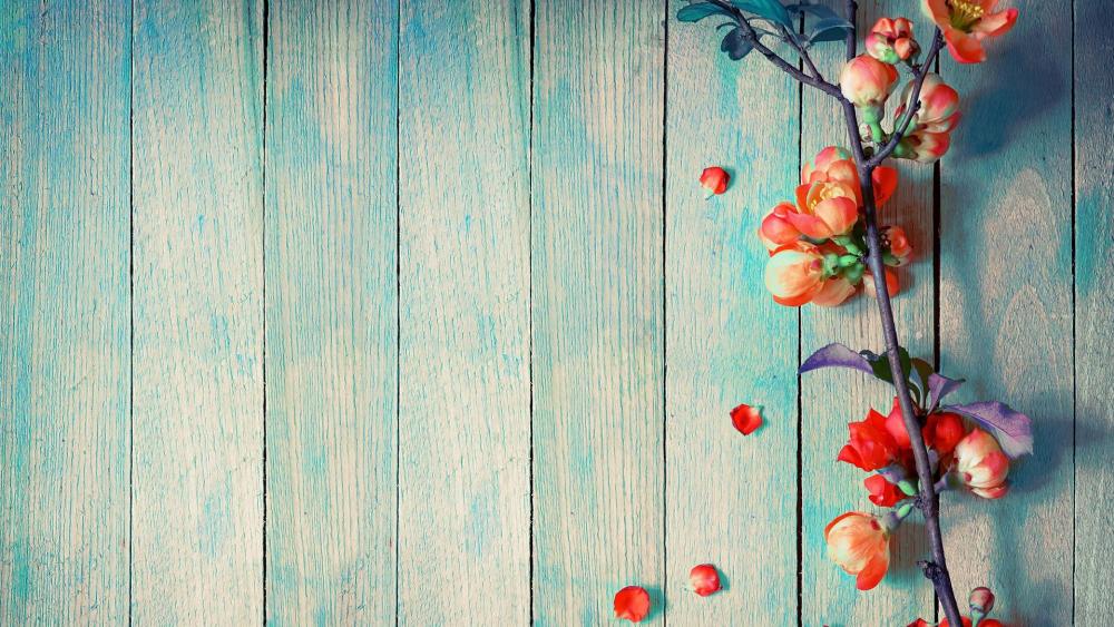 Petals on Wood Planks wallpaper