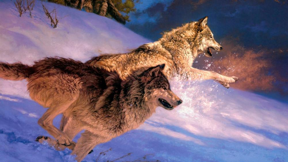 Angry wolves chase in the snow wallpaper