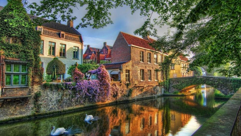 Brugge wallpaper