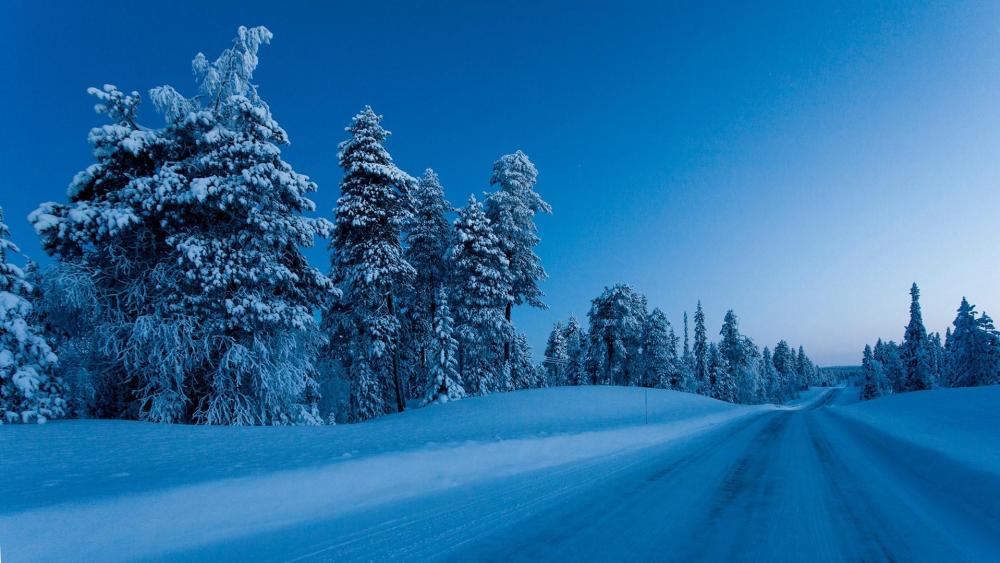 Snowy road in the forest (Finland) wallpaper
