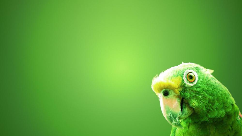Wallpaper from animals category
