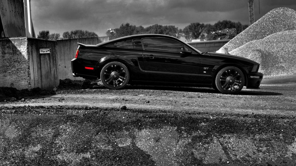 Ford Mustang Shelby GT500 black and white photography wallpaper