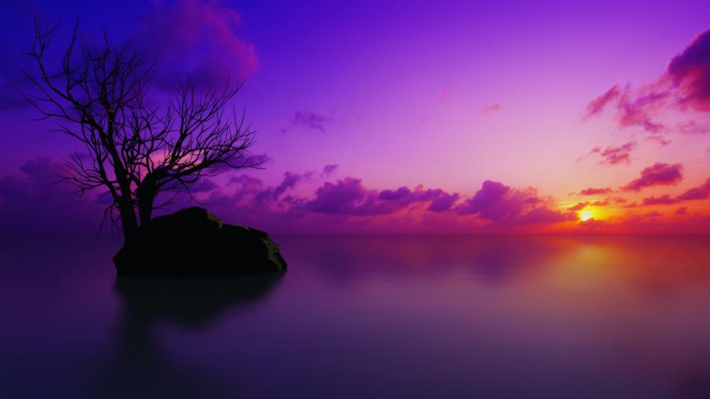 Lone tree in the sunset wallpaper
