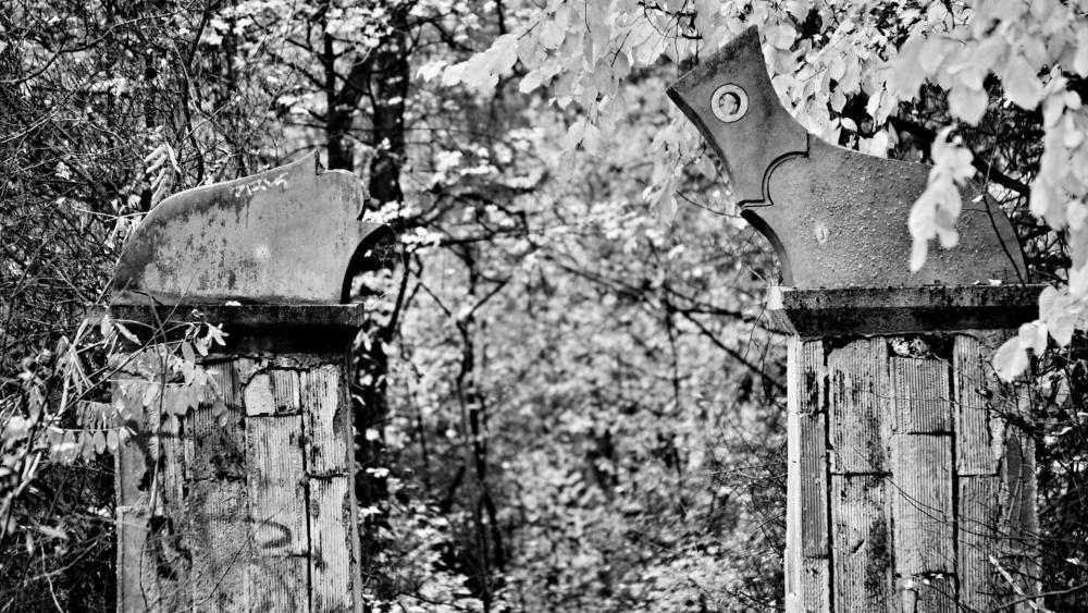 Abandoned gate ruins in a forest - Monochrome Photography wallpaper