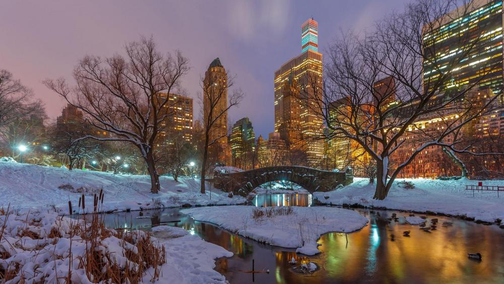 Central Park in winter - backiee