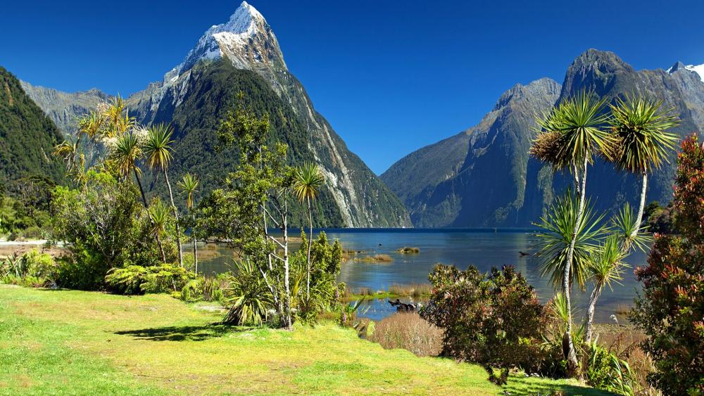 Mitre Peak and Milford Sound (New Zealand) wallpaper