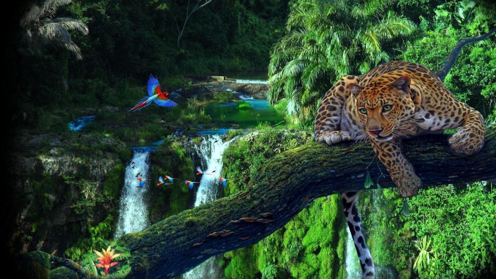 Amazon rainforest wallpaper