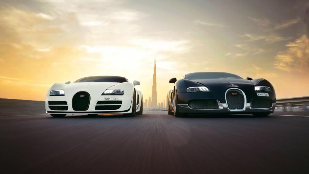 Black and white Bugatti Veyron cars wallpaper