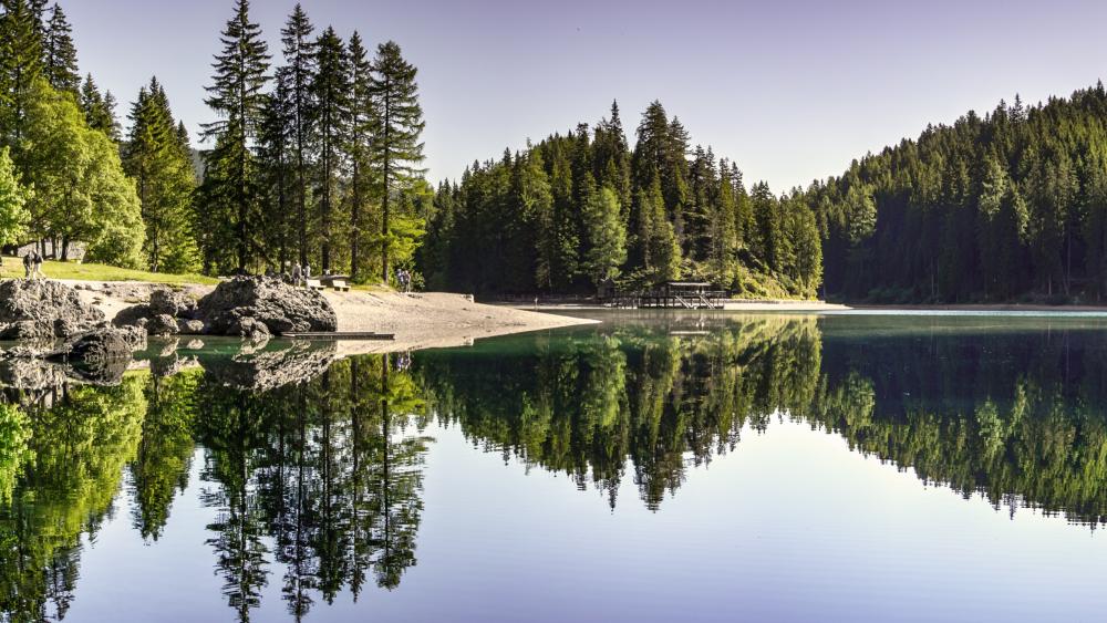 Evergreens lake reflection wallpaper