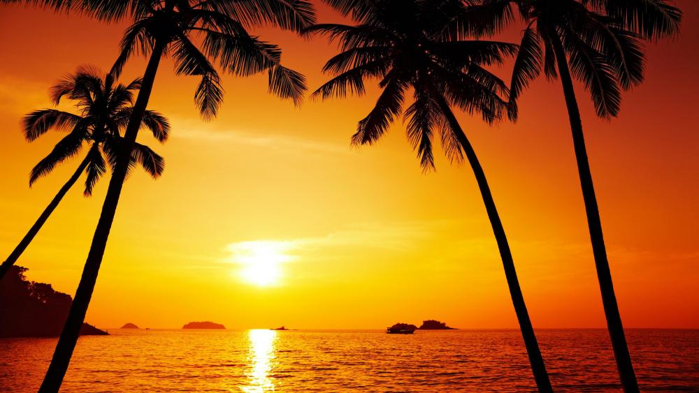 Red sunset with palms wallpaper