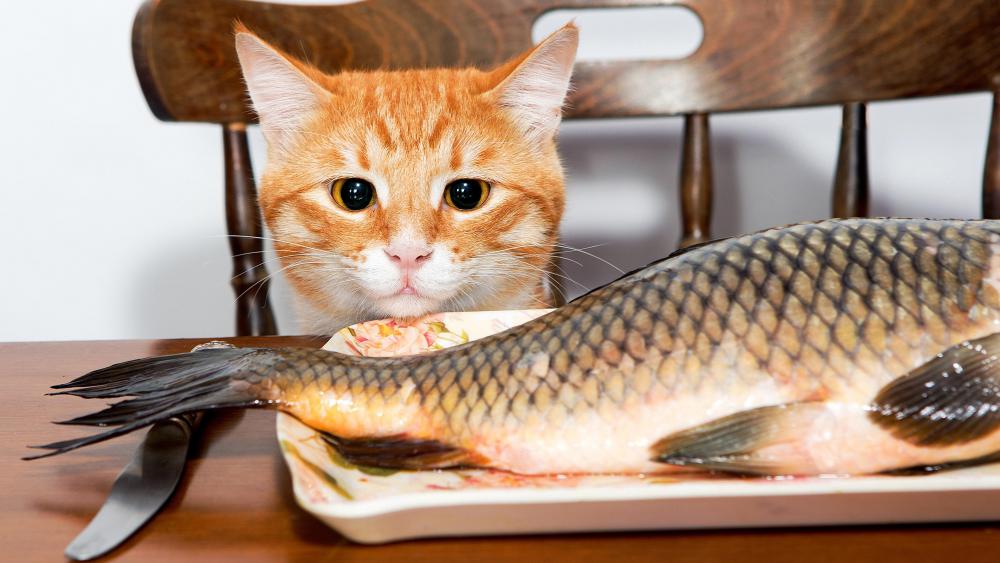 Temptation: A kitten with a fish wallpaper