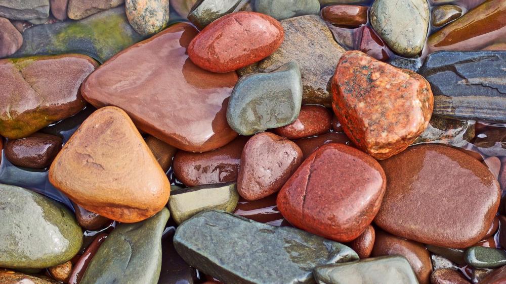 Wet pebble wallpaper