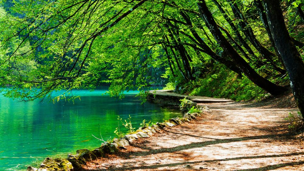 Plitvice Lakes National Park, Croatia wallpaper