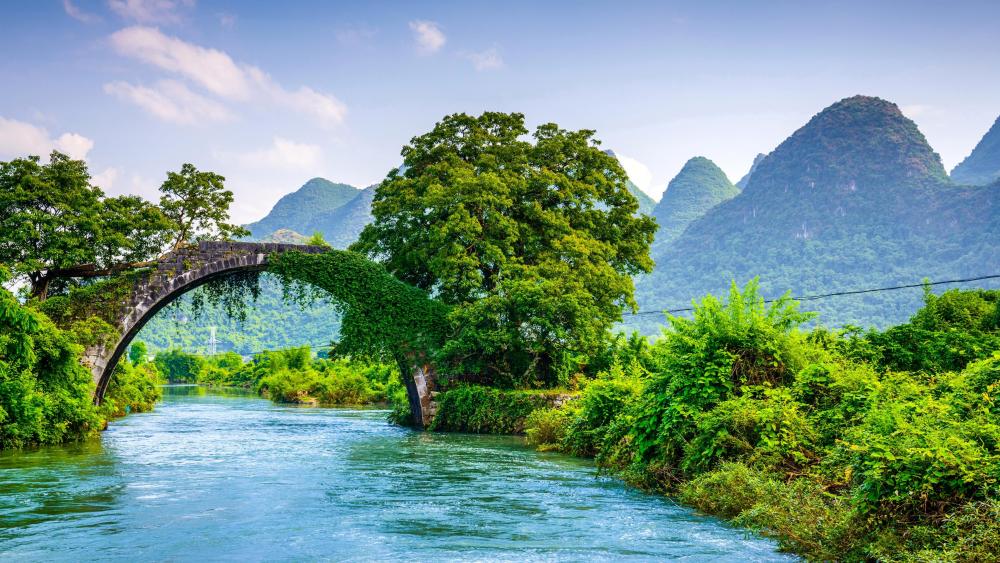 Yulong Bridge in Yangshuo Park - backiee