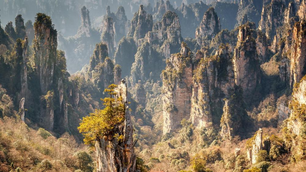 Zhangjiajie National Forest Park wallpaper