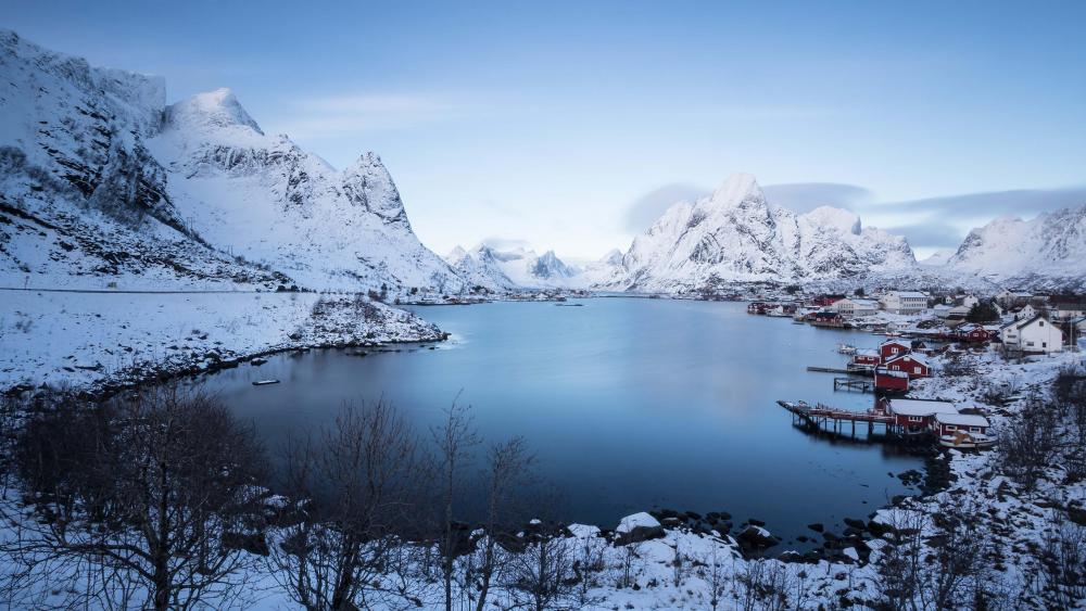 Reine in winter - backiee