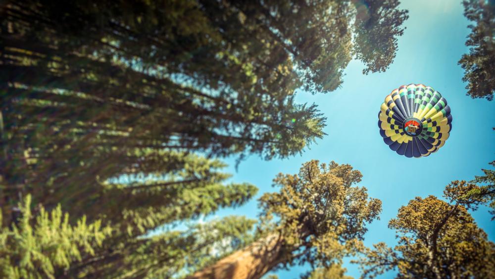 Hot Air Balloon - Worm's eye view photography wallpaper