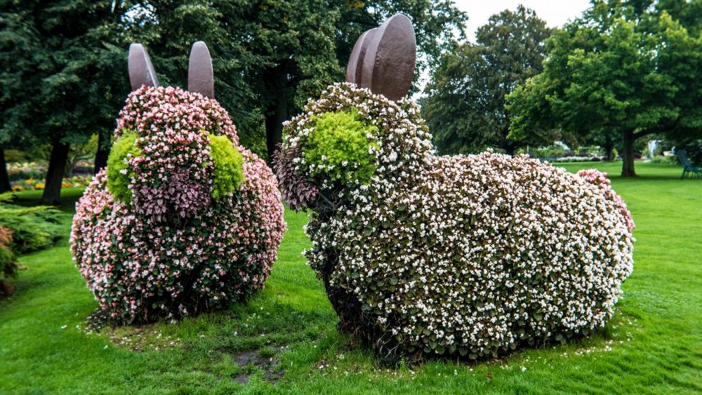 Easter rabbit bushes wallpaper