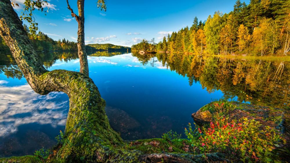 Autumn reflection (Hurum, Norway) wallpaper