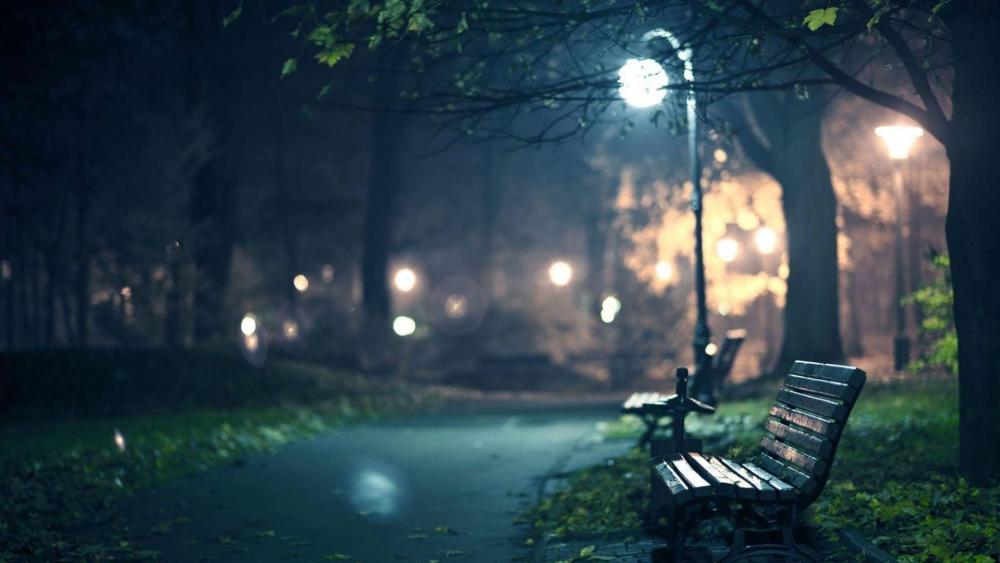 Lonely bench at night wallpaper