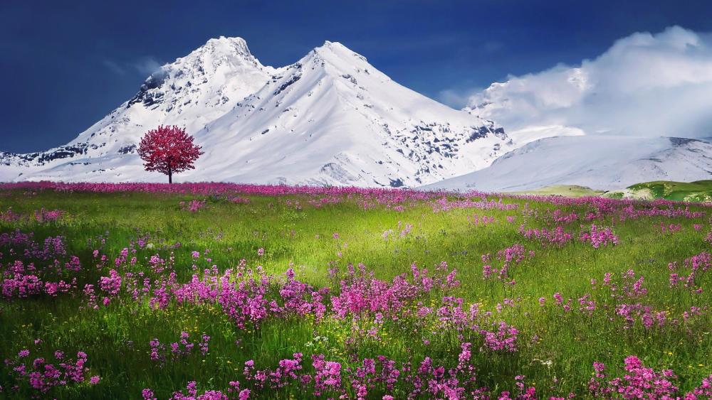 The Swiss Alps at spring wallpaper