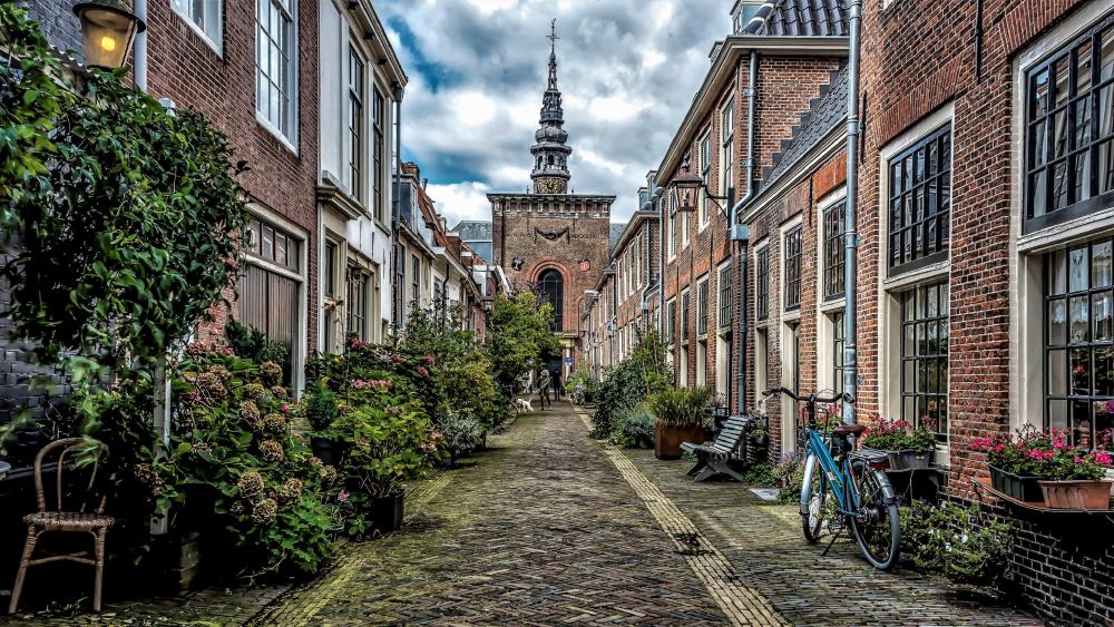 Haarlem street view, Netherlands wallpaper