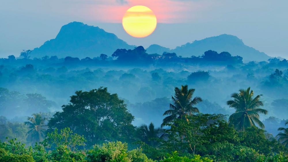 Jungle sunrise (Sri Lanka) wallpaper