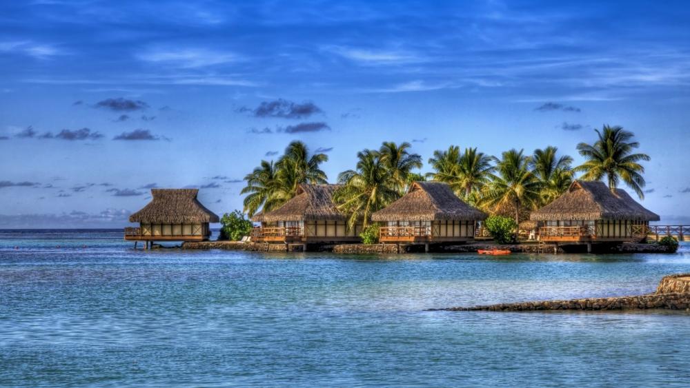 Overwater bungalows with palms in Maldives wallpaper