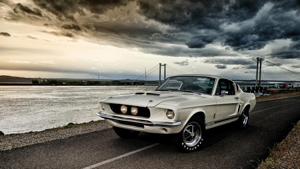 Ford Mustang (first generation) wallpaper - backiee