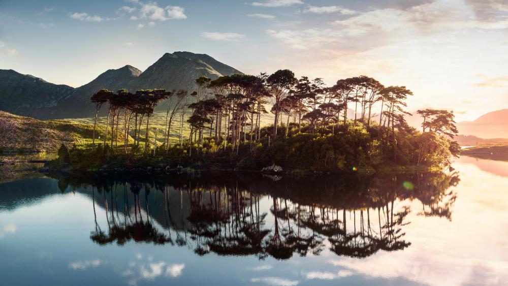 Pine Island on Derryclare Lough (Connemara National Park) wallpaper