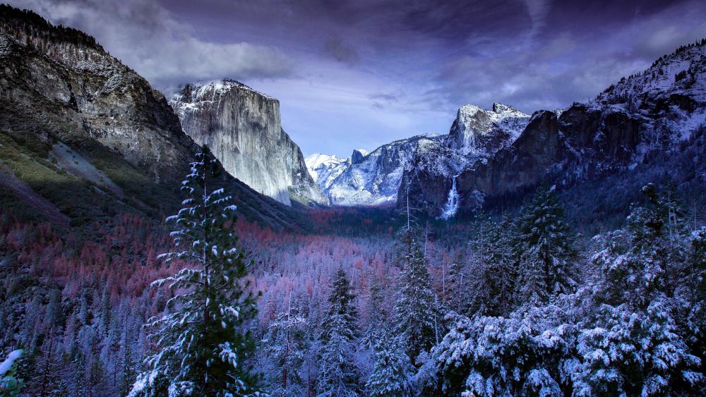 Yosemite Valley Yosemite National Park Wallpaper Backiee